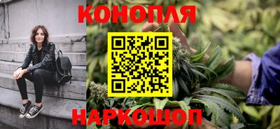 прущие крисы Гай