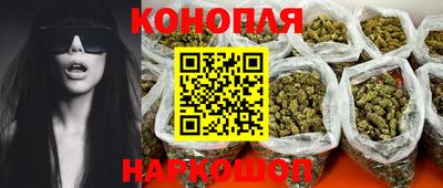 прущие крисы Гай