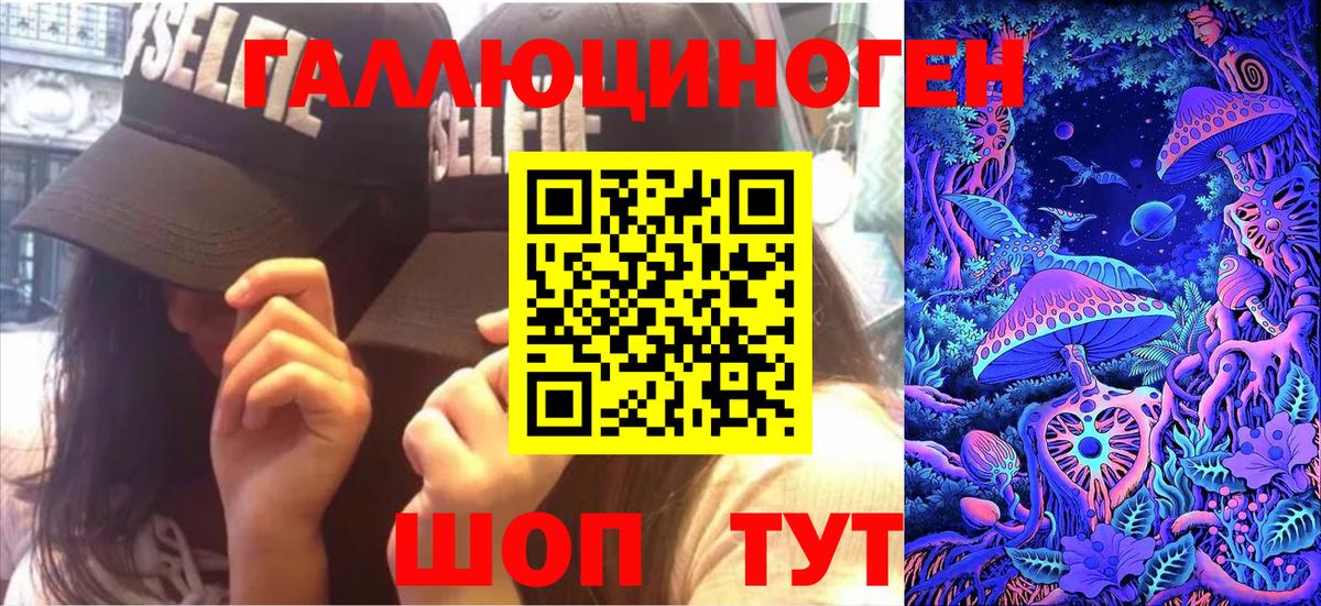 Новоалександровск  Псилоцибиновые грибы прущие грибы  Вход с VPN 
