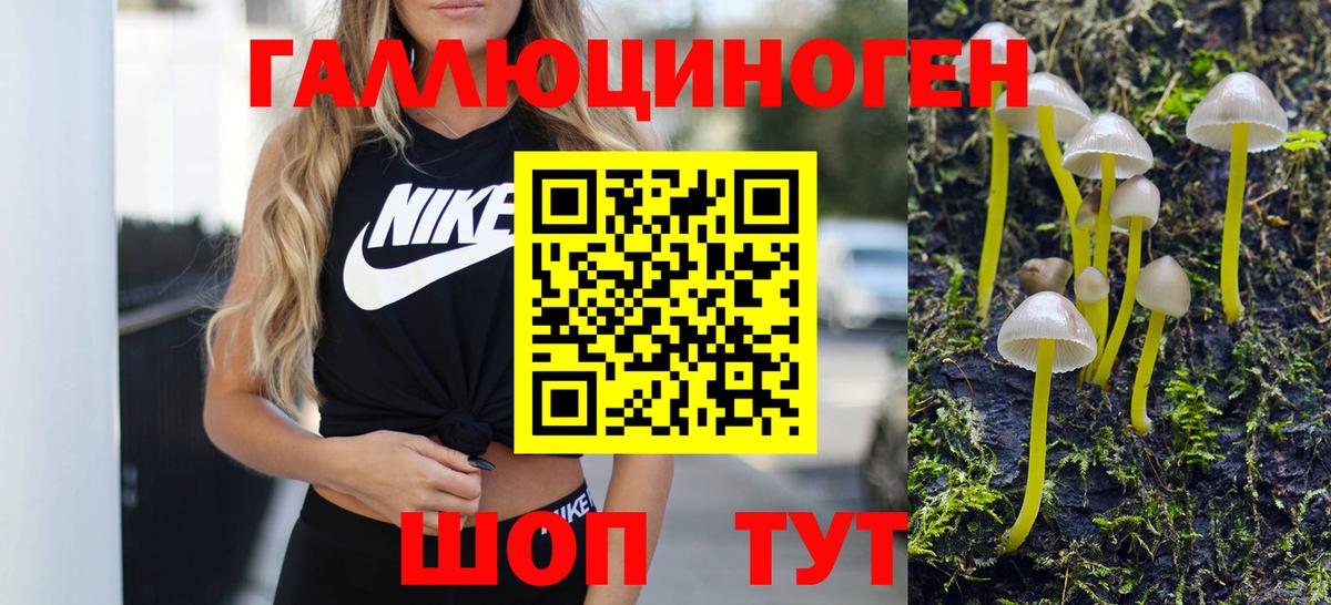 Галлюциногенные грибы ЛСД Новоалександровск